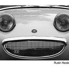 Austin Healey