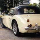 Austin Healey