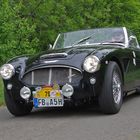 Austin Healey - Baujahr 1958