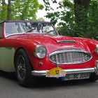 Austin Healey - Baujahr 1960