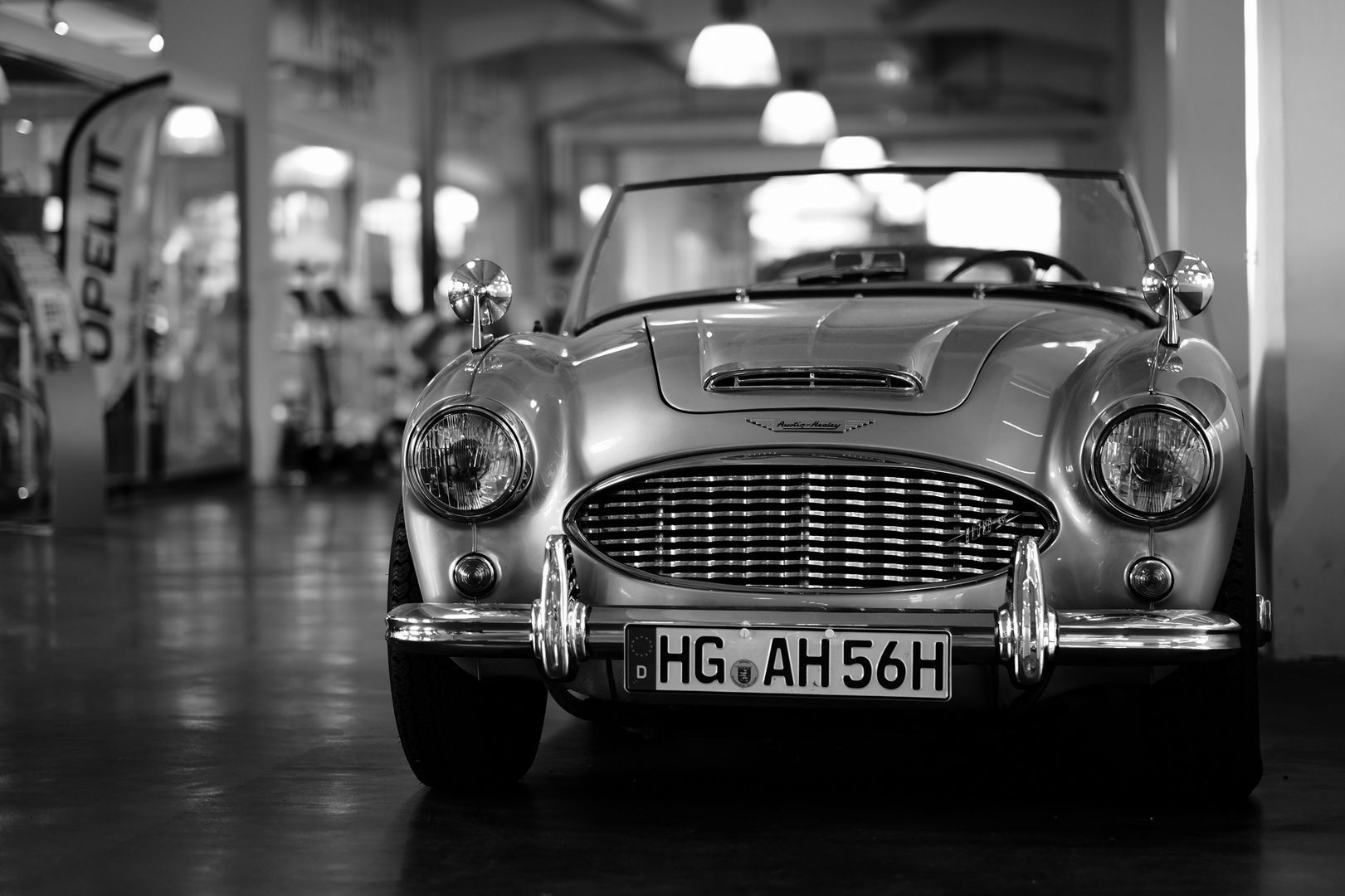 *Austin-Healey*