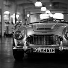 *Austin-Healey*