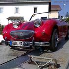 Austin Healey