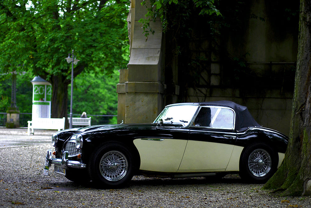 Austin Healey