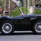 Austin Healey