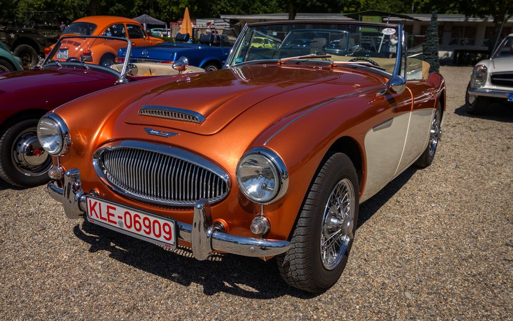 Austin Healey