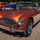 Austin Healey