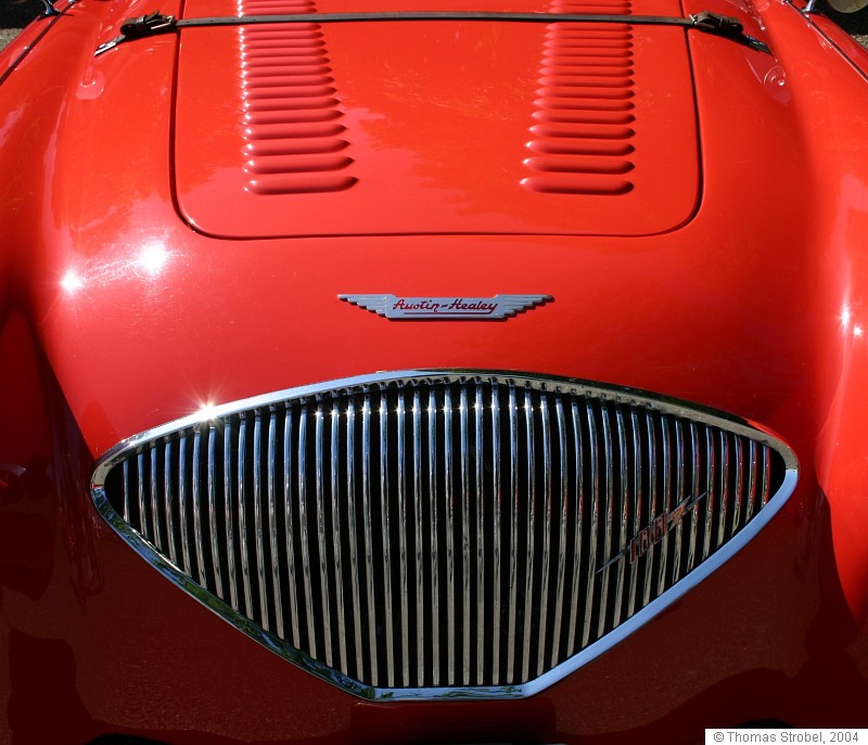 Austin Healey Detail