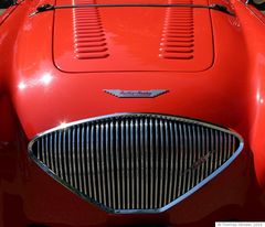 Austin Healey Detail