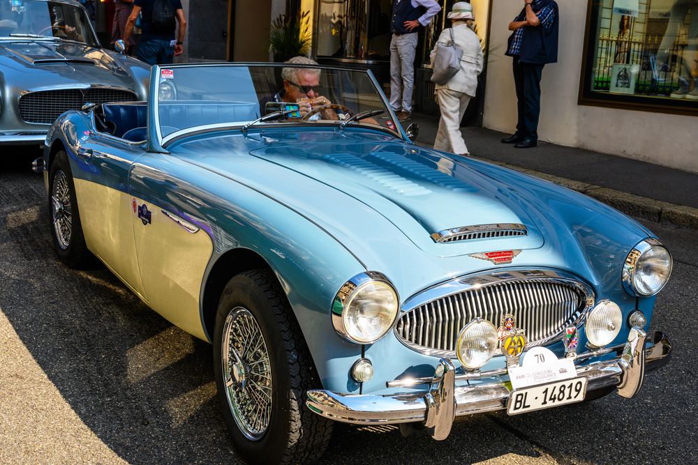 Austin Healey - DSC_1500