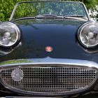 Austin-Healey "Froschauge"