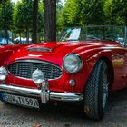 Austin Healey - Internationale Oldtimer Ausstellung, Schloss Schwetzingen 2017