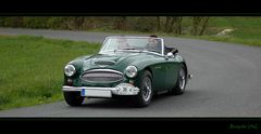 Austin Healey MK II BJ 7 1