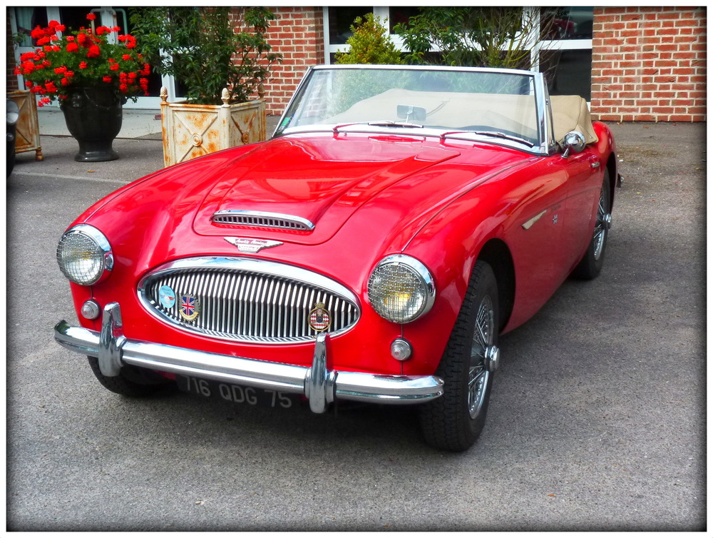 AUSTIN HEALEY . pour les amateurs de voitures de collection .