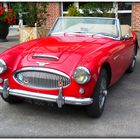 AUSTIN HEALEY . pour les amateurs de voitures de collection .