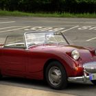 Austin Healey Sprite