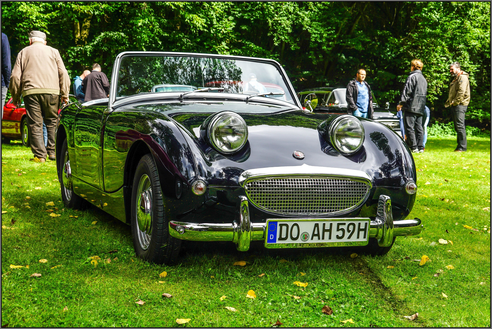 Austin Healey Sprite Mark 1 (Frosch) (1)