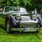 Austin Healey Sprite Mark 1 (Frosch) (1)