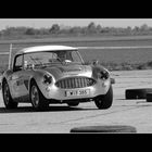 Austin Healy Sebring 1958