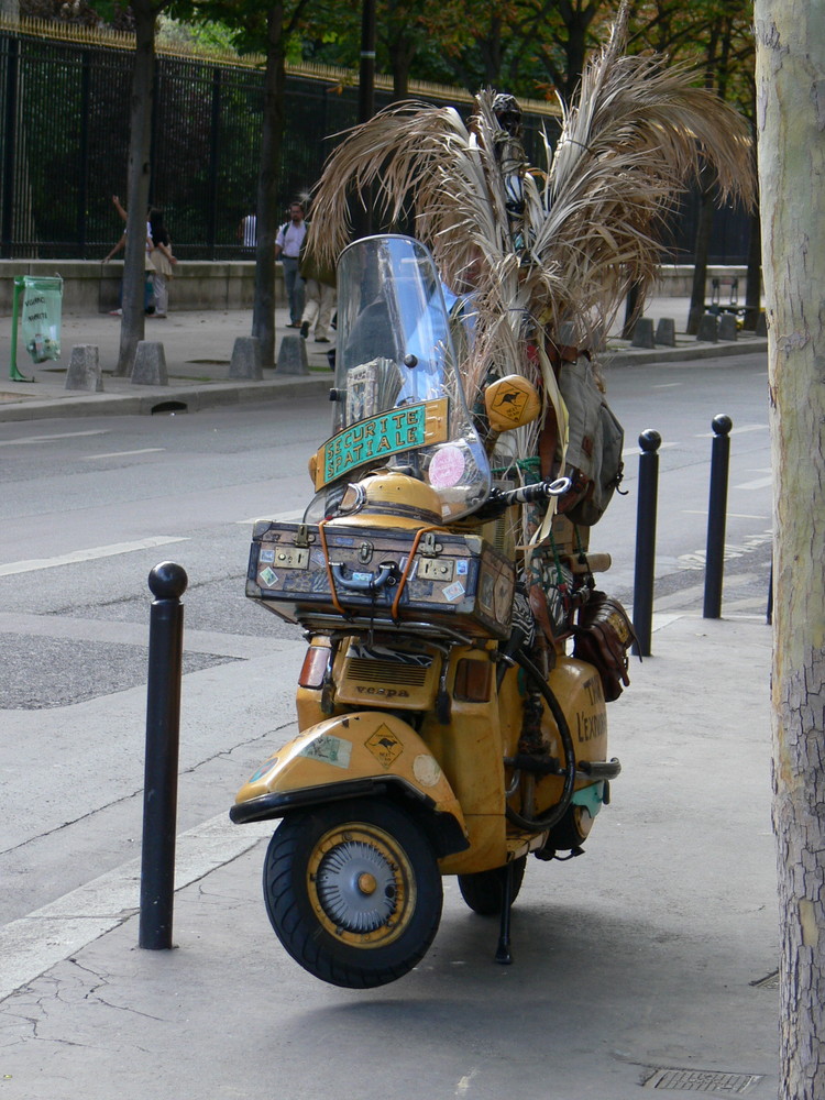 Australia meets Paris