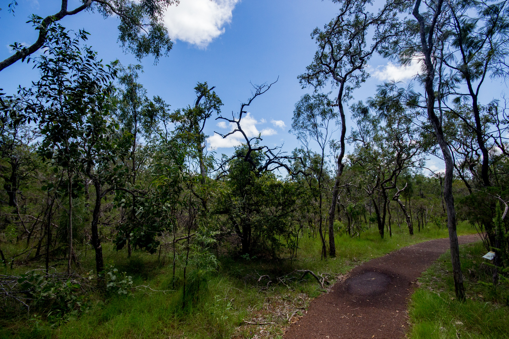 Australian Bush