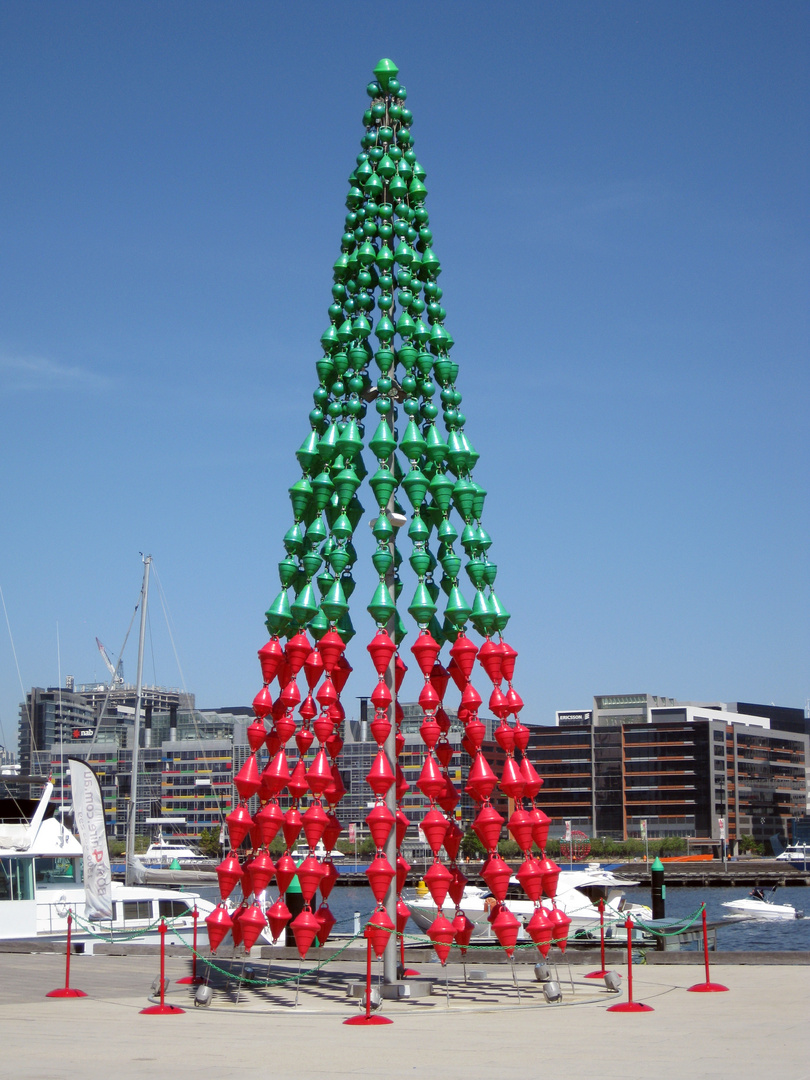 Australian Christmas Tree