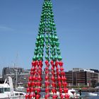 Australian Christmas Tree