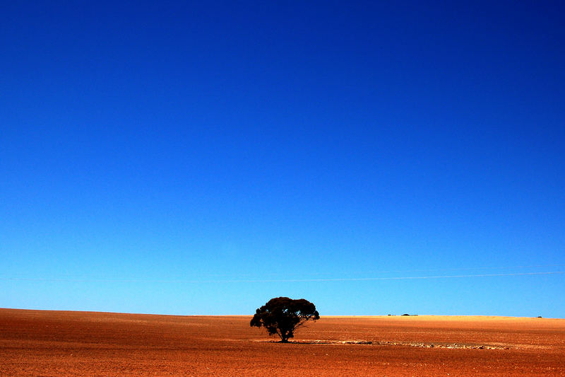 australian colours