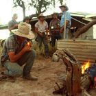 australian cowboys.