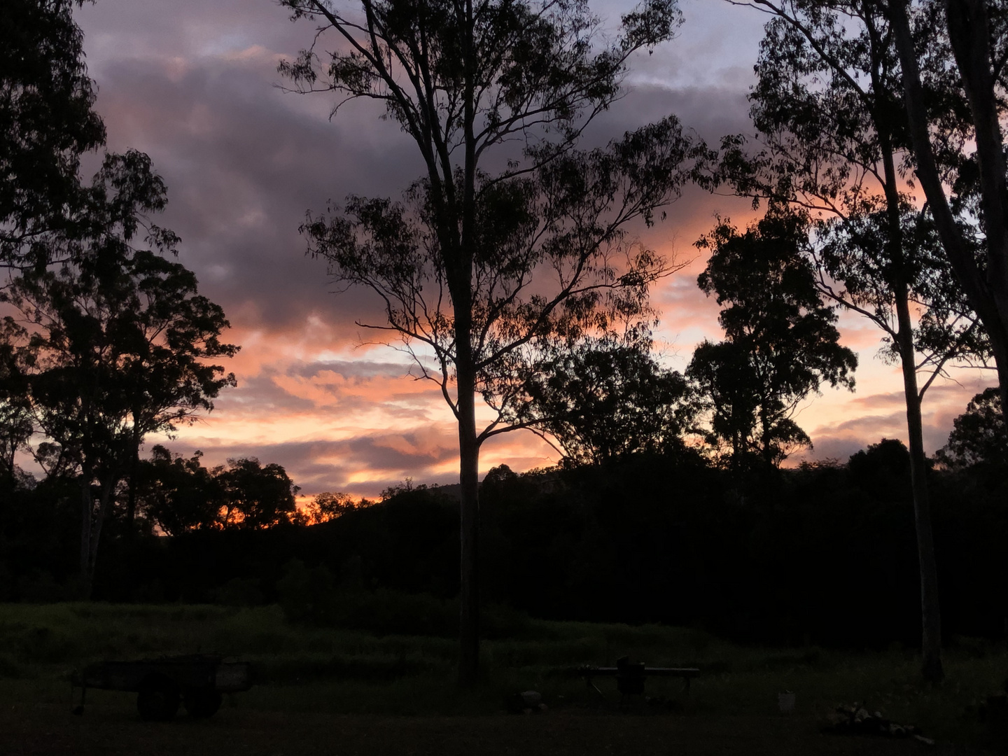 Australian evening