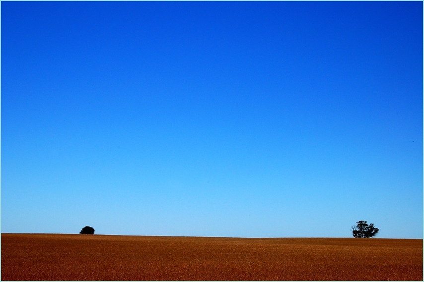 australian farmland 2