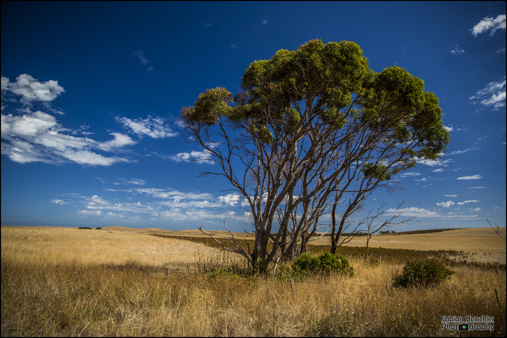 Australian Farmland