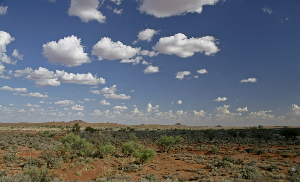 Australian landscape