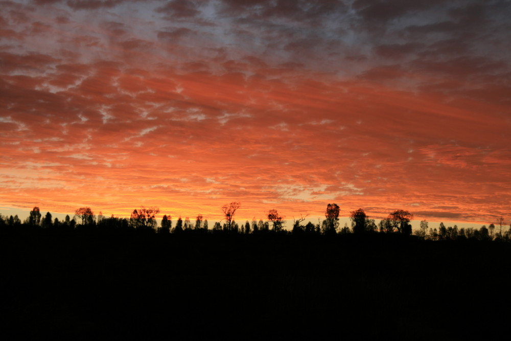 Australian Outback by Night