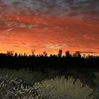 Australian Outback Gegenrichtung Ayers Rock