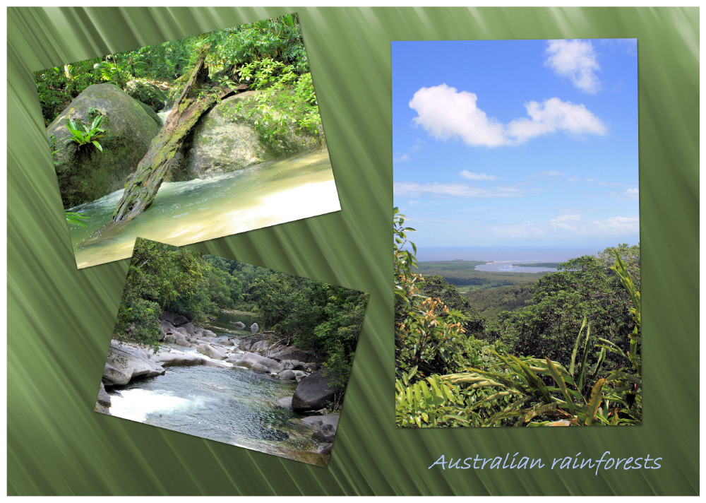 Australian rainforests