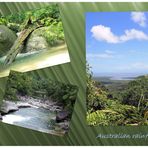 Australian rainforests