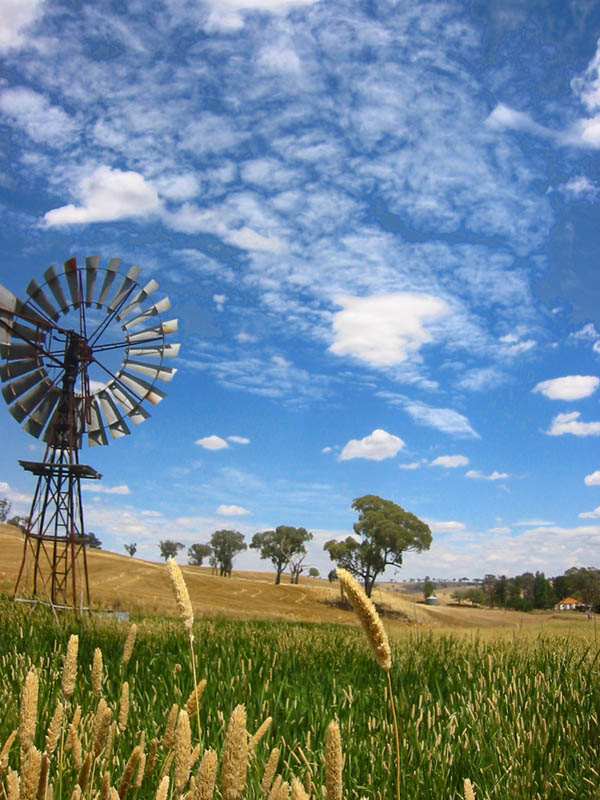 AUSTRALIAN WINDMILL