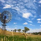 AUSTRALIAN WINDMILL