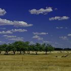 Australias beautiful landscapes...