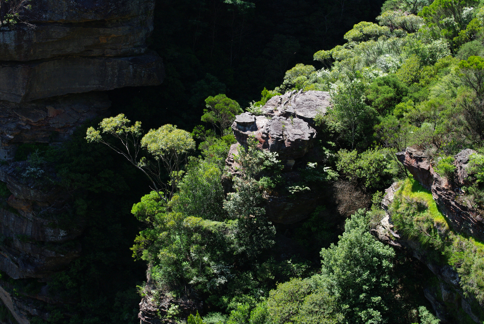 Australie 5 : Blue mountains