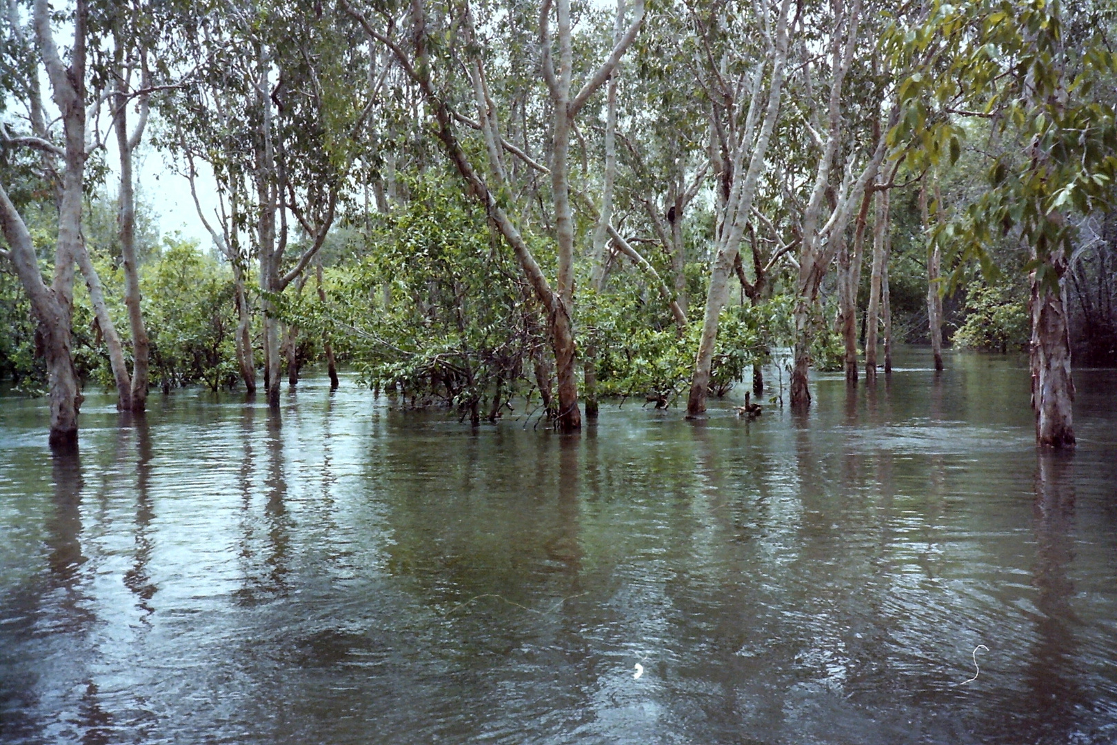 Australien 1995_003