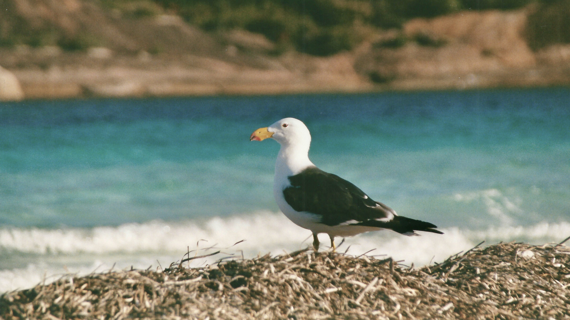 Australien (2001), Cape Le Grand NP