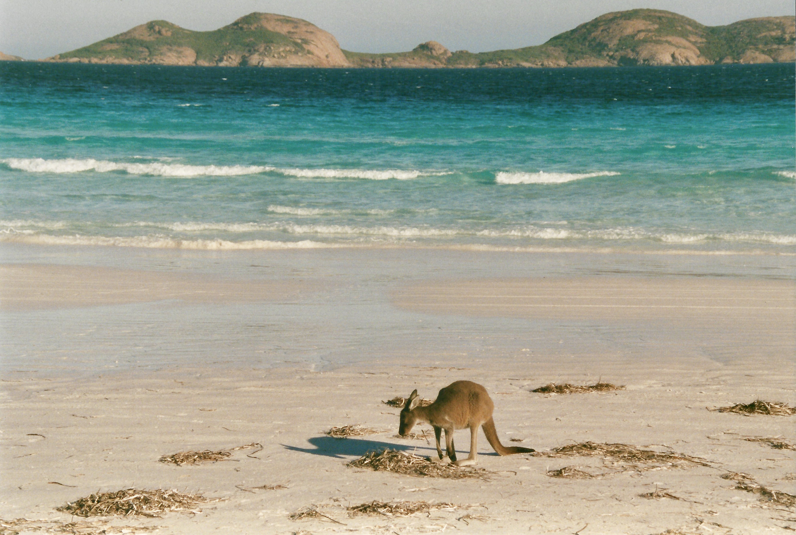 Australien (2001), Cape Le Grand NP