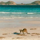 Australien (2001), Cape Le Grand NP