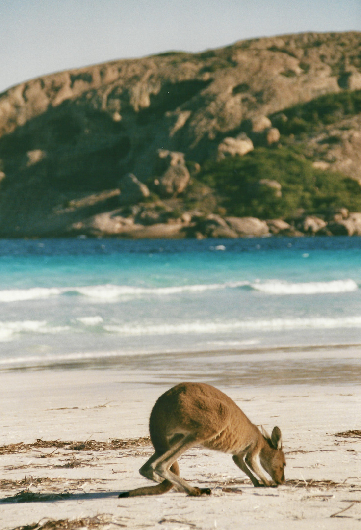 Australien (2001), Cape Le Grand NP