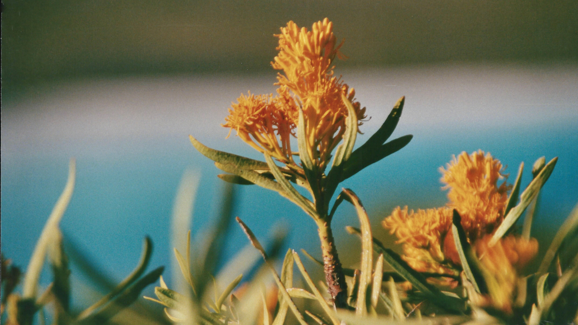 Australien (2001), Cape Le Grand NP