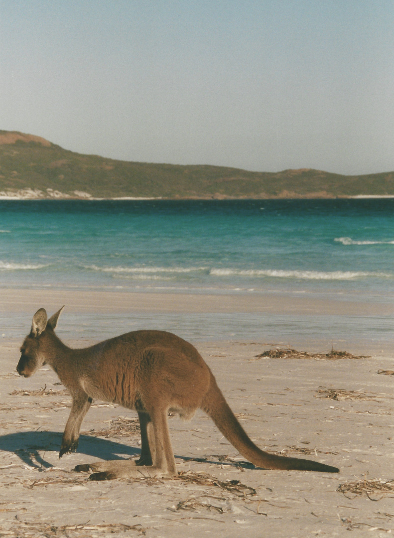 Australien (2001), Cape Le Grand NP