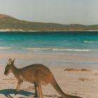 Australien (2001), Cape Le Grand NP