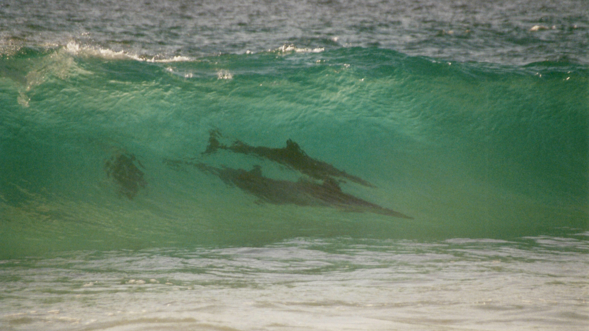 Australien (2001), Cape Leeuwin